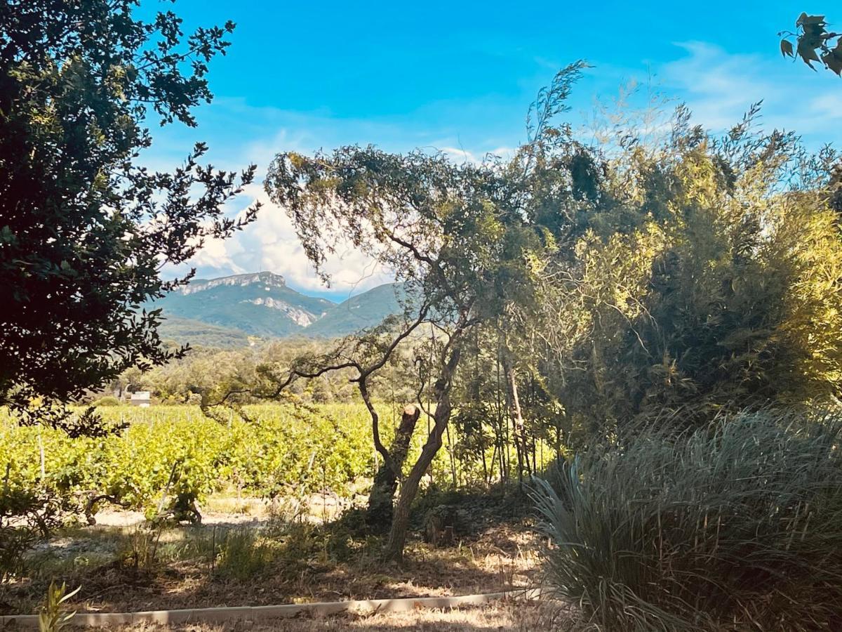 Le Mogador Chateau Du Martinet Violès Εξωτερικό φωτογραφία