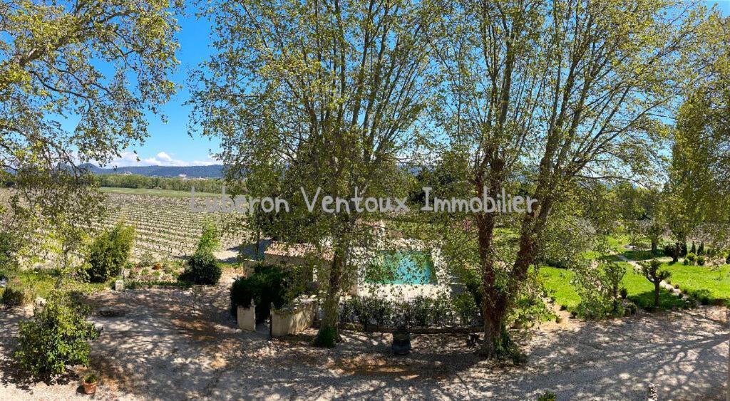 Le Mogador Chateau Du Martinet Violès Εξωτερικό φωτογραφία