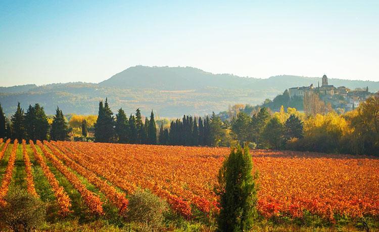 Le Mogador Chateau Du Martinet Violès Εξωτερικό φωτογραφία